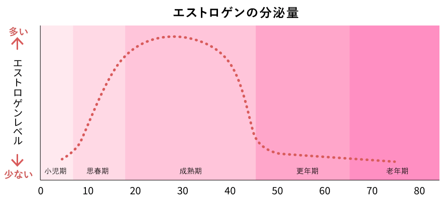 エストロゲンの分泌量