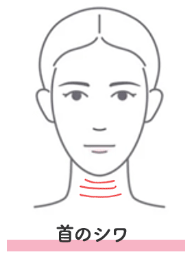 首のシワ