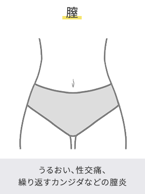 膣｜うるおい、性交痛、繰り返すカンジダなどの膣炎